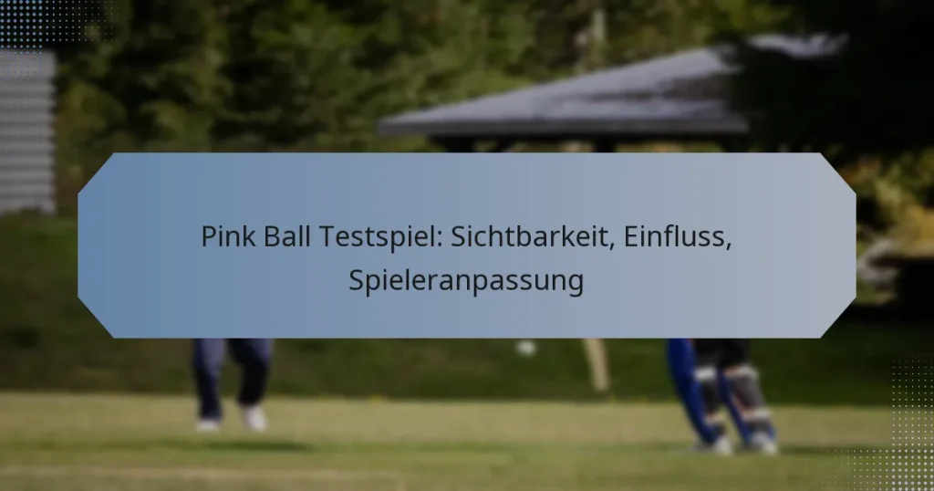 Pink Ball Testspiel: Sichtbarkeit, Einfluss, Spieleranpassung