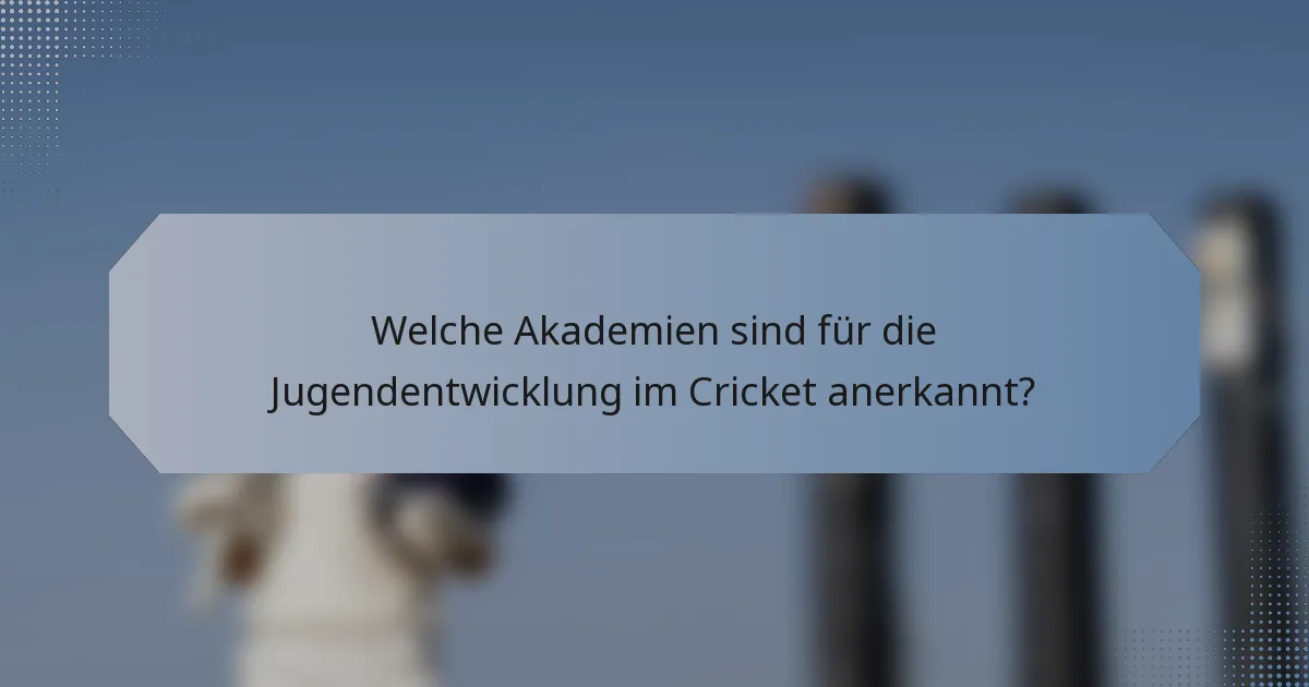 Welche Akademien sind für die Jugendentwicklung im Cricket anerkannt?