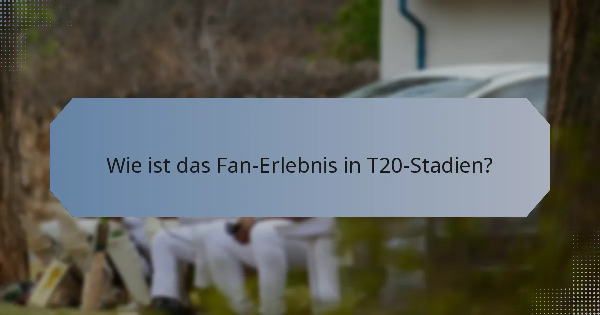Wie ist das Fan-Erlebnis in T20-Stadien?