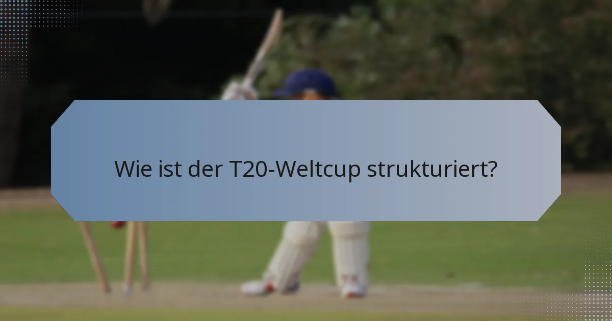 Wie ist der T20-Weltcup strukturiert?