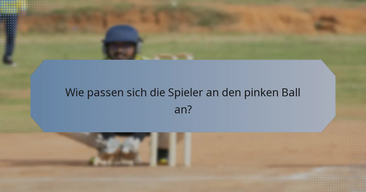 Wie passen sich die Spieler an den pinken Ball an?