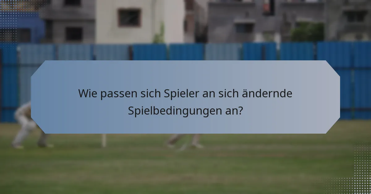 Wie passen sich Spieler an sich ändernde Spielbedingungen an?